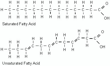 Image result for saturated fatty acid diagram